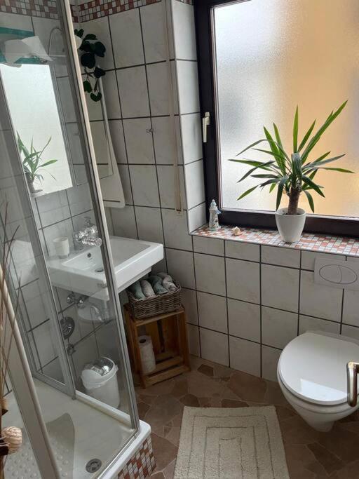2-Zimmer Wohnung 80Qm Bis 4Pers. ヴィンニンゲン エクステリア 写真